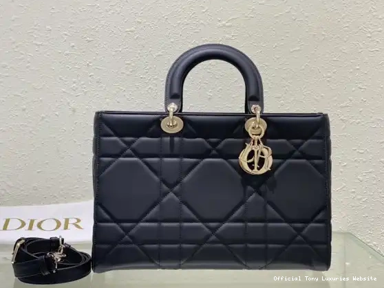 Tony Luxuries diro ABC D-Sire diro-35*23*15CM Lady My 0701